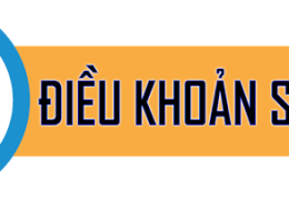 Điều Khoản Sử Dụng